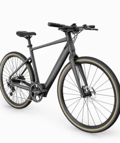 Fiido C21 Vélo Électrique Léger 250W 100 km Capteur de Couple 17,5 kg