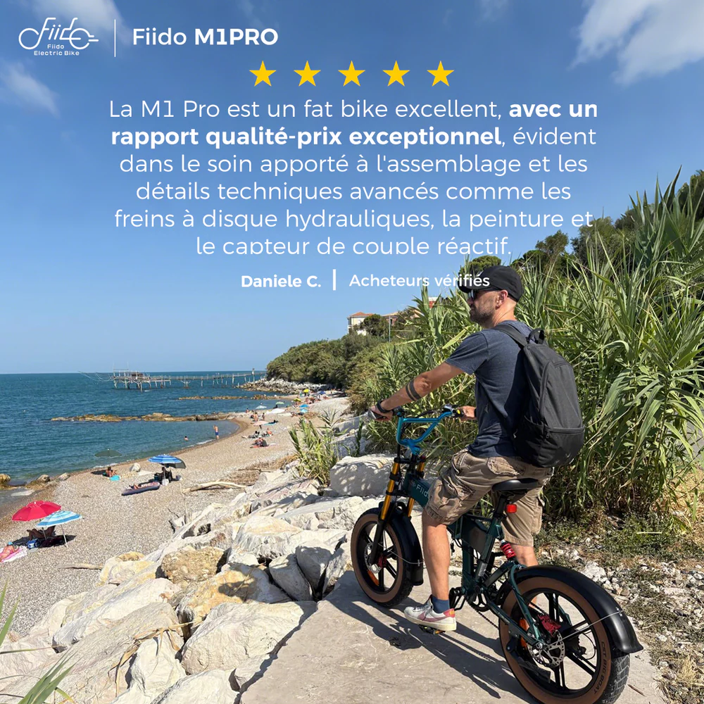 Fiido M1 Pro Vélo Électrique Fat Bike Pliable 20 Pouces Double Suspension – Image 3
