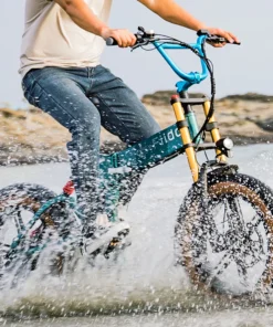 Alternative view of Fiido M1 Pro Vélo Électrique Fat Bike Pliable 20 Pouces Double Suspension