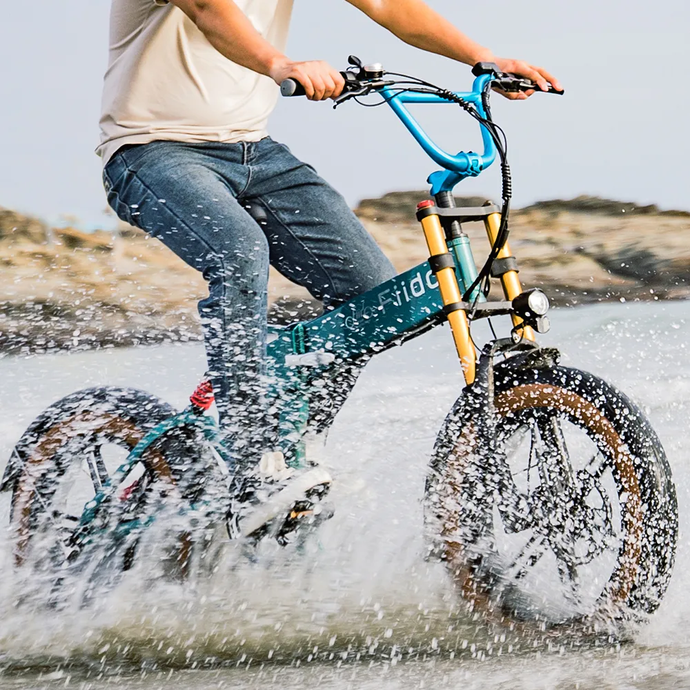 Fiido M1 Pro Vélo Électrique Fat Bike Pliable 20 Pouces Double Suspension – Image 2