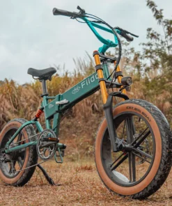 Fiido M1 Pro Vélo Électrique Fat Bike Pliable 20 Pouces Double Suspension