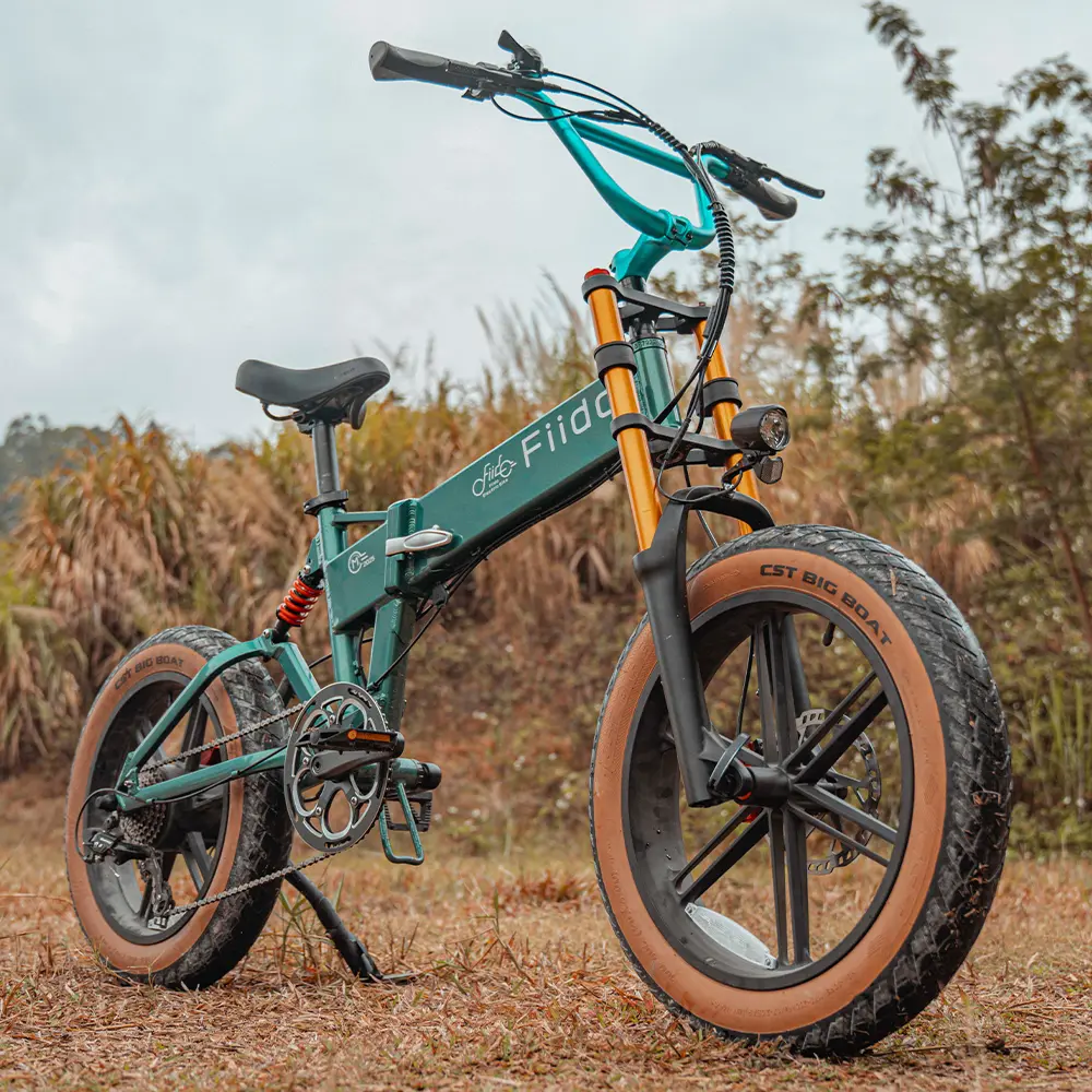 Fiido M1 Pro Vélo Électrique Fat Bike Pliable 20 Pouces Double Suspension