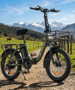 ENGWE L20 SE Vélo Électrique Pliable 20" 250W 36V 15,6Ah 561Wh Cadre Bas Autonomie 115 km