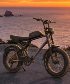 Vakole Q20 MAX Vélo Électrique Fat Bike 20" Double Moteur 750W x2 Batterie Samsung 48V 20Ah 960Wh Tout Suspendu